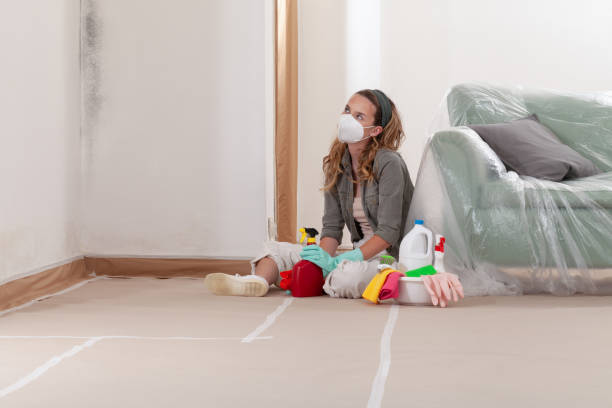Reliable Mold Remediation contractor in Pikesville, MD by Mold Remediation HQ